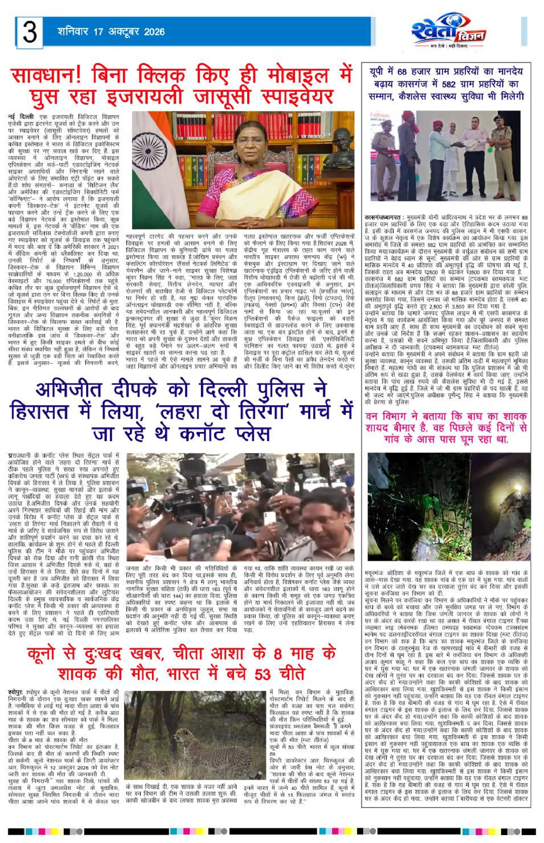 Page 3