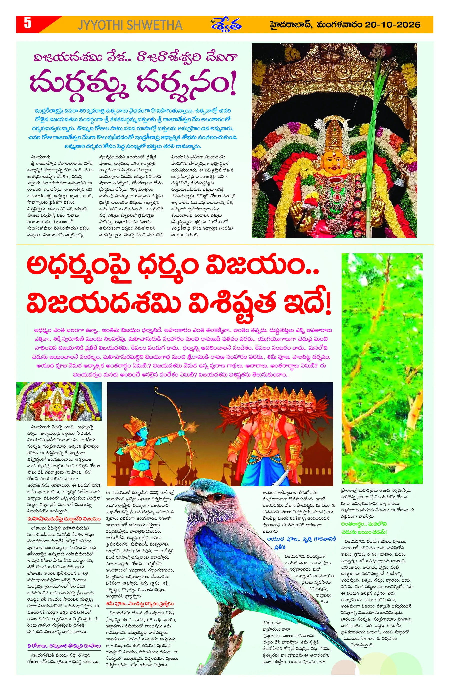 Page 5